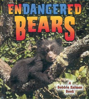 Paperback Endangered Bears Book