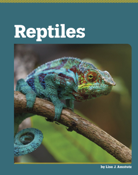 Library Binding Reptiles Book