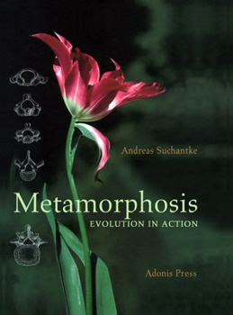 Hardcover Metamorphosis: Evolution in Action Book