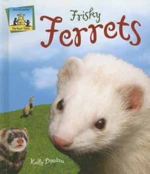 Library Binding Frisky Ferrets Book