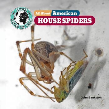 Paperback All about American House Spiders Book