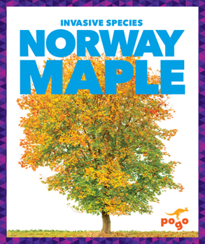 Library Binding Norway Maple Book