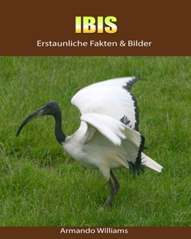Paperback Ibis: Erstaunliche Fakten & Bilder [German] Book