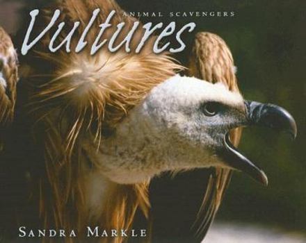 Paperback Vultures (Animal Scavengers) Book