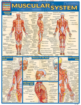 Cards Muscular System Book