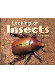 Paperback Rigby Flying Colors: Individual Student Edition Red Looking at Insects Book