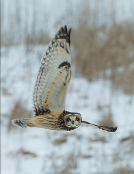 Paperback Composition Book: Owl Composition Book 8.5 x 11 College Ruled Line Paper with 200 pages (100 sheets) Book