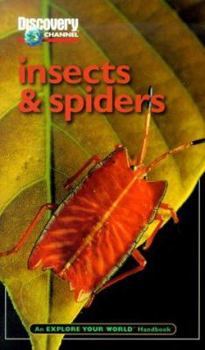 Paperback Discovery Channel: Insects & Spiders: An Explore Your World Handbook Book