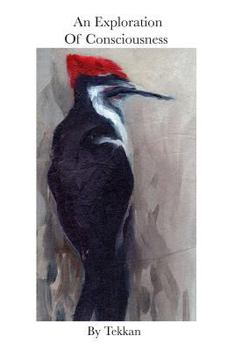 Paperback An Exploration of Consciousness Book