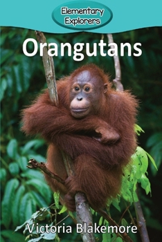 Paperback Orangutans Book