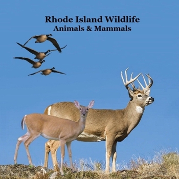 Rhode Island Animals and Mammals Kids Wildlife Book: Great Wildlife Book about Animals and Mammals in Rhode Island