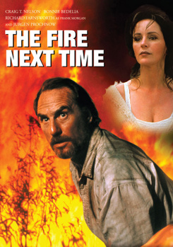 DVD The Fire Next Time Book