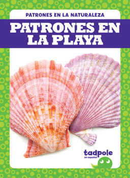 Library Binding Patrones En La Playa (Patterns at the Beach) [Spanish] Book