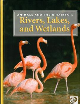 Unknown Binding Animals And Their Habitats- Rivers, Lakes, and Wetlands Book