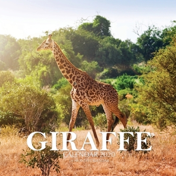 Paperback Giraffe Calendar 2020: 16 Month Calendar Book