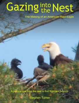 Paperback Gazing Into the Nest: The Making of an American Bald Eagle Book