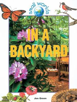 Hardcover In a Backyard Book