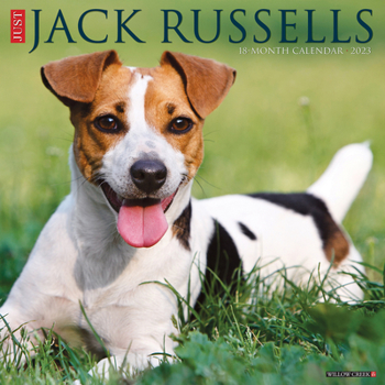 Calendar Just Jack Russells 2023 Wall Calendar Book