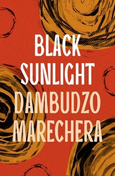 Paperback Black Sunlight Book