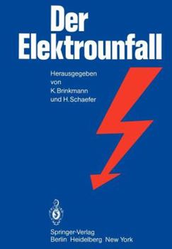 Paperback Der Elektrounfall [German] Book