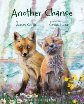 Hardcover Another Chance Book