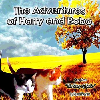 Paperback The Story of Bobo Book
