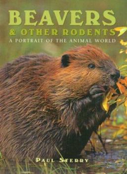 Hardcover Beavers & Other Rodents: A Portrait of the Animal World Book