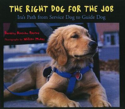 The Right Dog for the Job: Ira's Path from Service Dog to Guide Dog