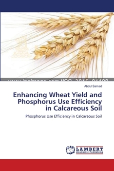 Paperback Enhancing Wheat Yield and Phosphorus Use Efficiency in Calcareous Soil Book