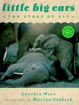Hardcover Little Big Ears: The Story of Ely Book