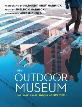 Paperback The Outdoor Museum: Not Your Usual Images of New York Book