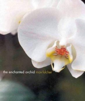 Paperback The Enchanted Orchid Book