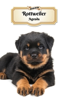 2020 Rottweiler Agenda: 107 Pagine | Dimensioni DIN A5 | Pianificatore Settimanale | 12 Mesi | Due Pagine Per Settimana | Calendario | Diario | Cane (Italian Edition)