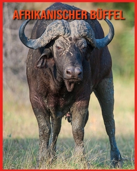 Afrikanischer B?ffel: Erstaunliche Fakten & Bilder