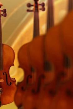 Paperback Instrument Notebook Book