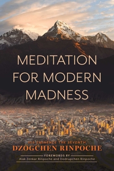 Paperback Meditation for Modern Madness Book
