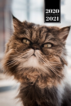 Persian Cat Kitten Kitty Tomcat Week Planner Organizer 2020 / 2021 - Wild Hair: Cute Animal Pet Owner Weekly Bullet Journal Notebook Diary in 6” x 9” Inch Pocket Size