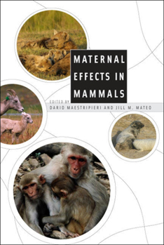Hardcover Maternal Effects in Mammals Book