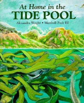 Paperback At Home in the Tide Pool Book