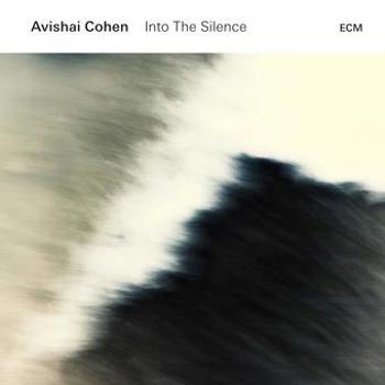 Vinyl Into the Silence (2 LP) Book