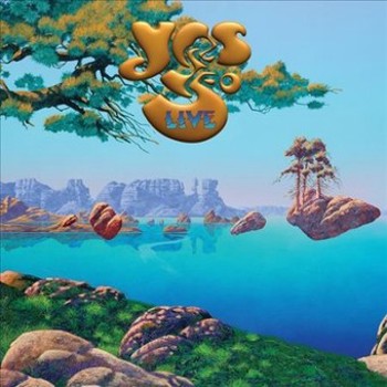 Vinyl Yes 50 Live Book