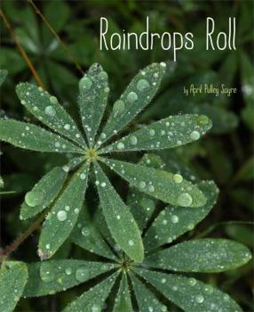 Hardcover Raindrops Roll Book