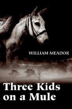 Paperback Three Kids on a Mule Book