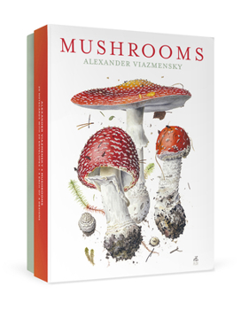 Misc. Mushrooms: Alexander Viazmensky Boxed Notecard Assortment Book