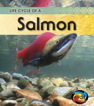 Life Cycle of a Salmon - Book  of the Life Cycle of a...