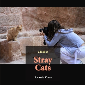Paperback Stray cats: a look at Book