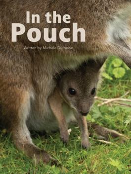 In the Pouch