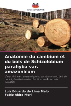Anatomie du cambium et du bois de Schizolobium parahyba var. amazonicum: Caractérisation anatomique du cambium et du bois de paricá plantés dans des clairières en Amazonie orientale (French Edition)