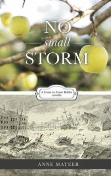 No Small Storm - Book #1 of the Coast-to-Coast Brides