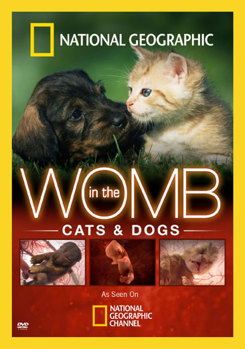 DVD National Geographic: In The Womb - Cats & Dogs Book